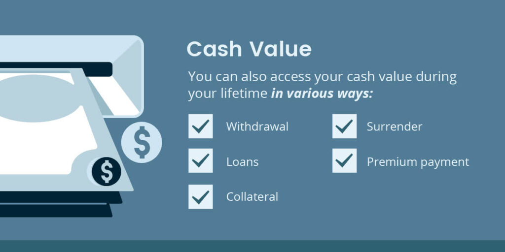 What is Cash Value in a Life Insurance Policy